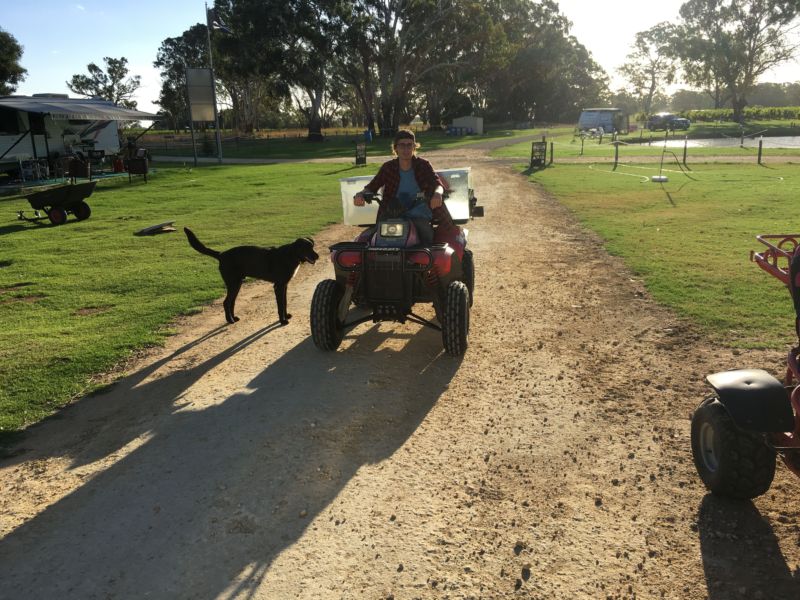 Quad bike tours 7