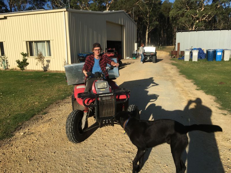 Quad bike tours 8
