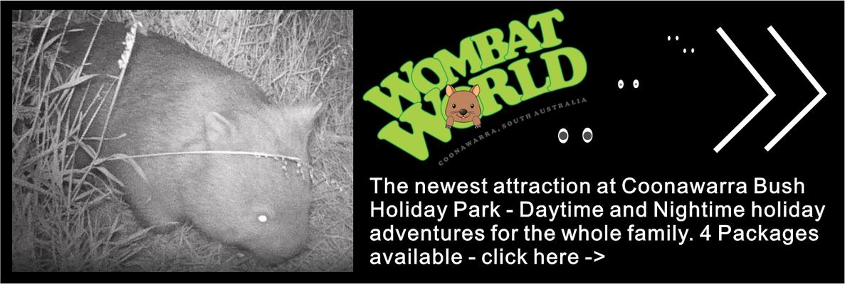 Wombat World