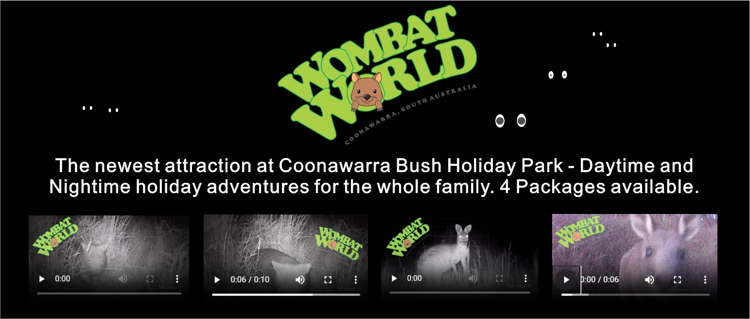 Wombat World, Coonawarra, South Australia