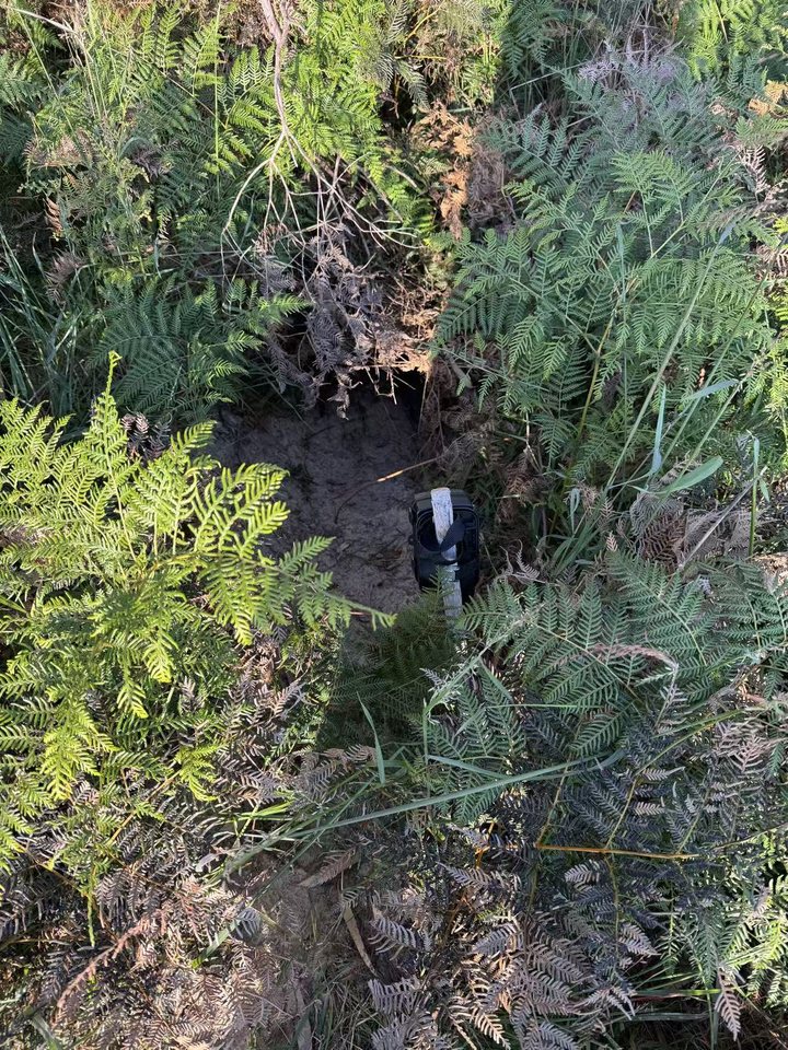 Trail camera location 1