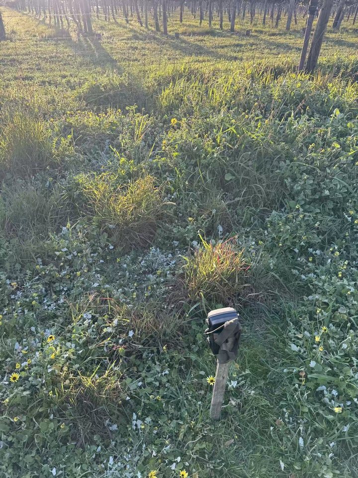 Trail camera location 2