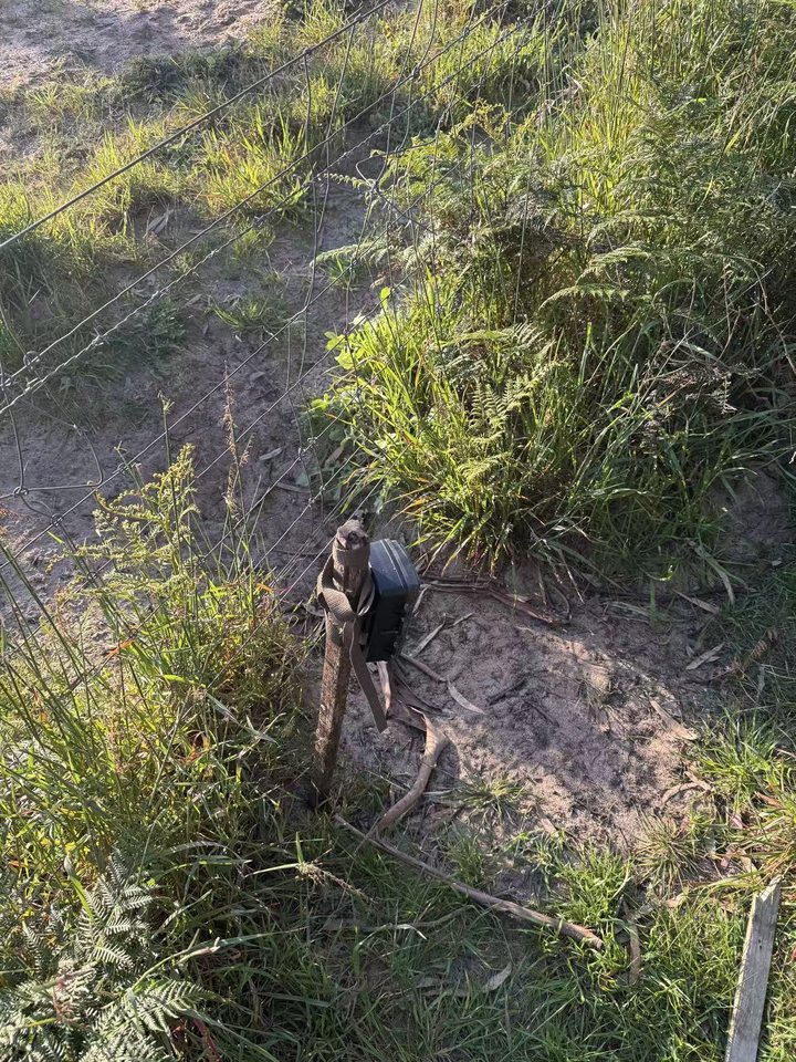Trail camera location 3