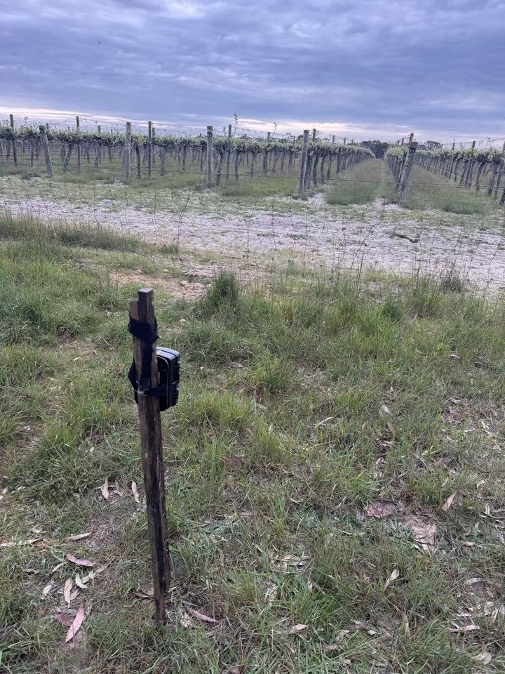 Trail camera location 5