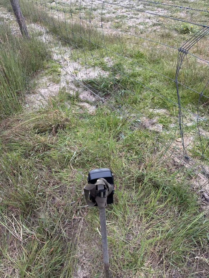 Trail camera location 7