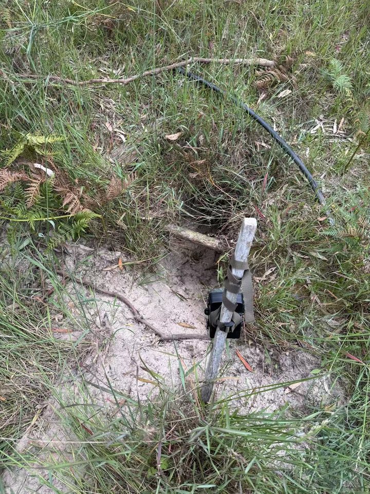 Trail camera location 8